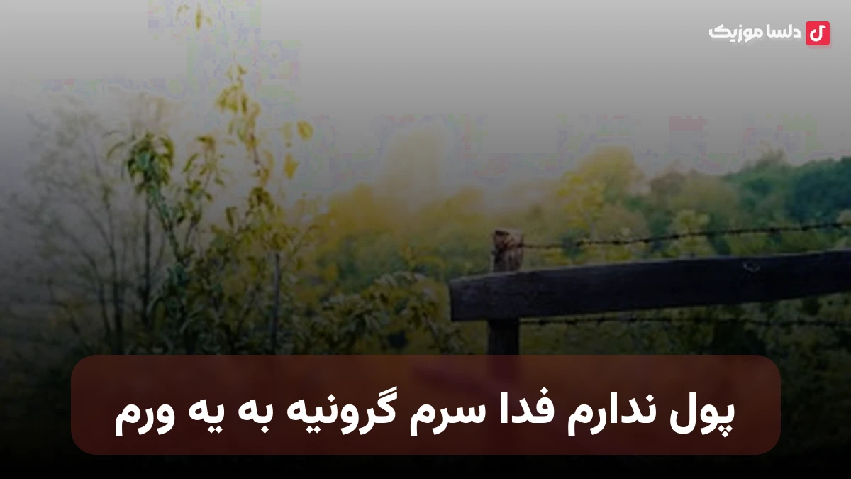 پول ندارم فدا سرم گرونیه به یه ورم